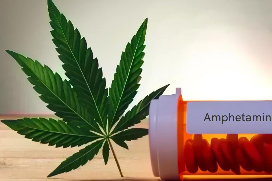 Cannabis y anfetaminas (por ejemplo, Adderall, Adderall XR)