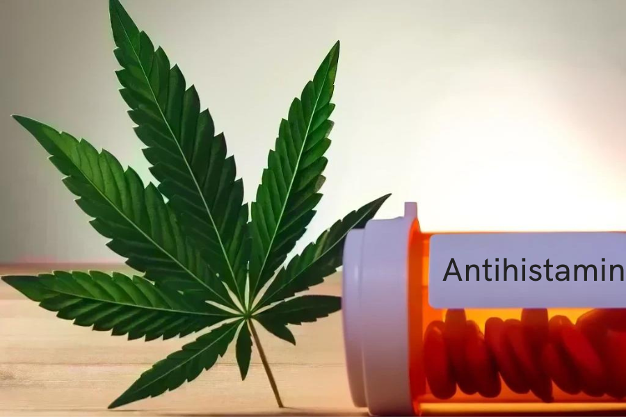 Cannabis y antihistamínicos (por ejemplo, Claritin, Lorano, Zyrtec, Cetirizine)