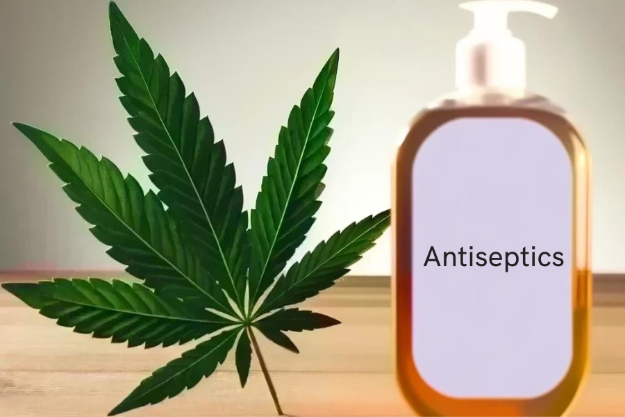 Cannabis y antisépticos (por ejemplo, Hibiclens, Peride, Chlorhexamed, Corsodyl)