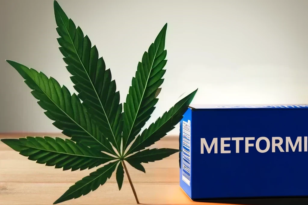 Cannabis y metformina (por ejemplo, Glucophage, Metformin ratiopharm, Metformax)