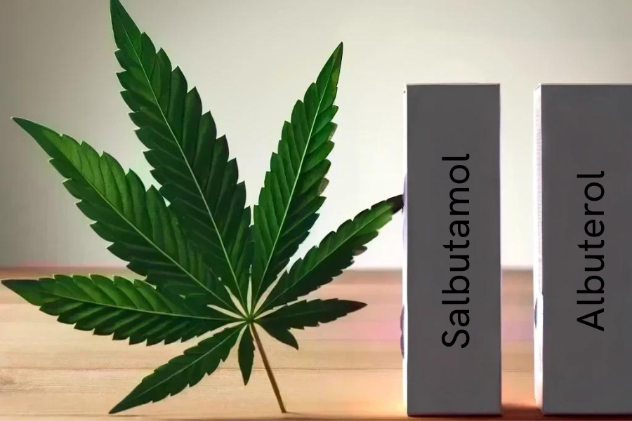 Cannabis y salbutamol/albuterol (por ejemplo, Ventolin, ProAir, Ventolin, SalbuHEXAL, Sultanol)