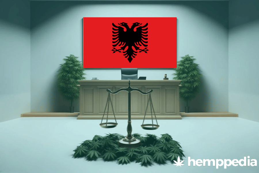 ¿Es legal el cannabis en Albania? – Actualización 2024