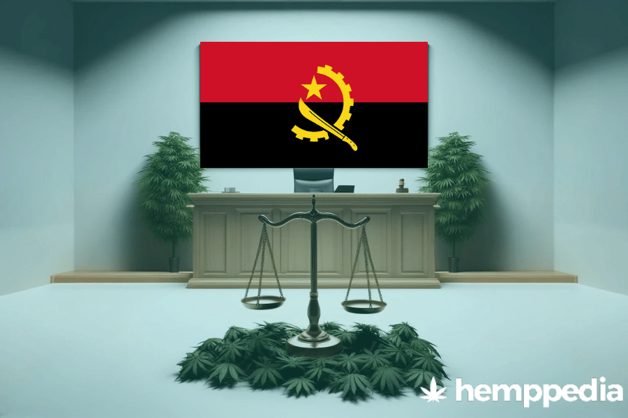 ¿Es legal el cannabis en Angola? – Actualización 2024