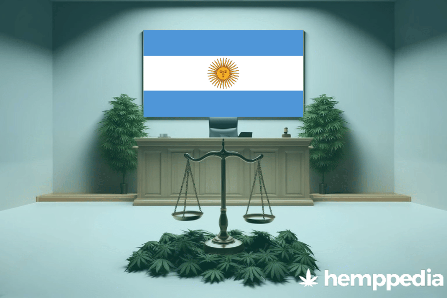 ¿Es legal el cannabis en Argentina? – Actualización 2024