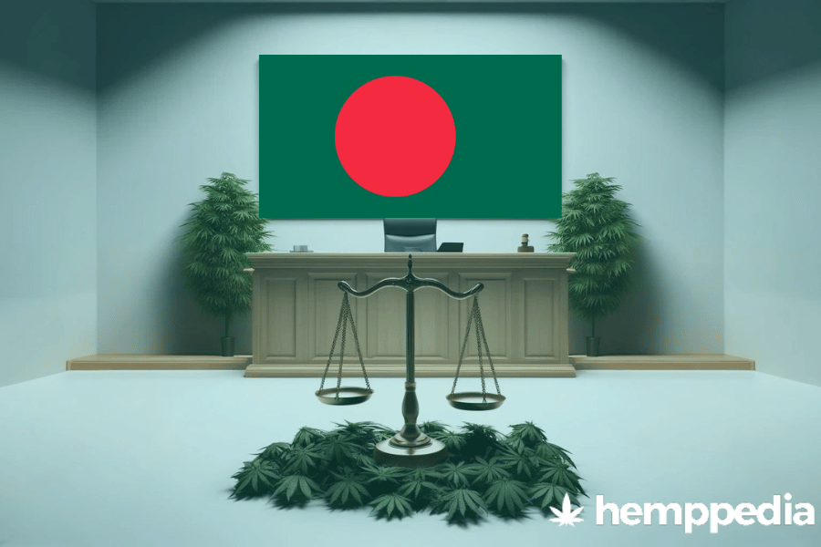 ¿Es legal el cannabis en Bangladesh? – Actualización 2024