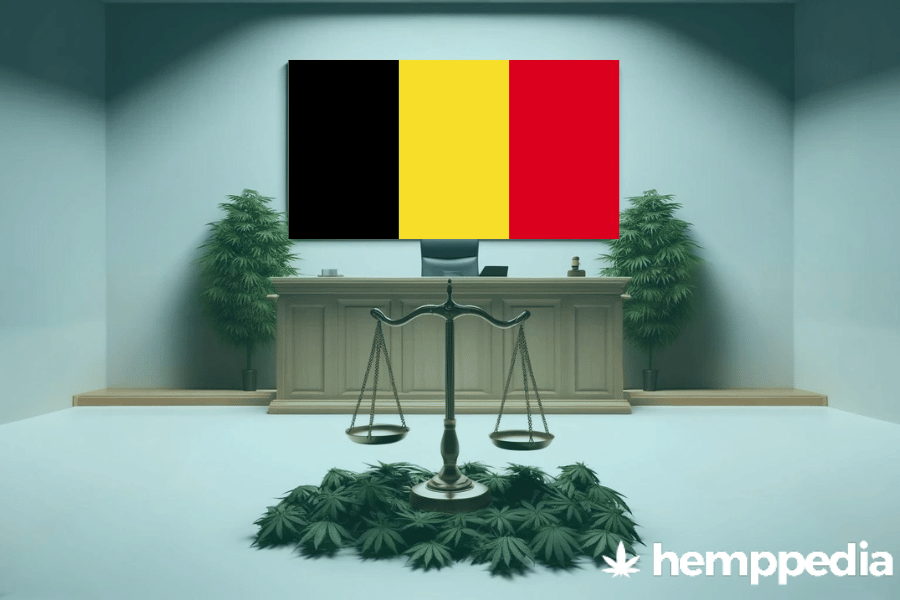 ¿Es legal el cannabis en Bélgica? – Actualización 2024