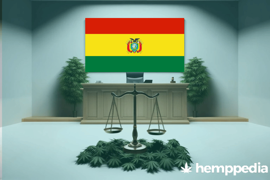 ¿Es legal el cannabis en Bolivia? – Actualización 2024