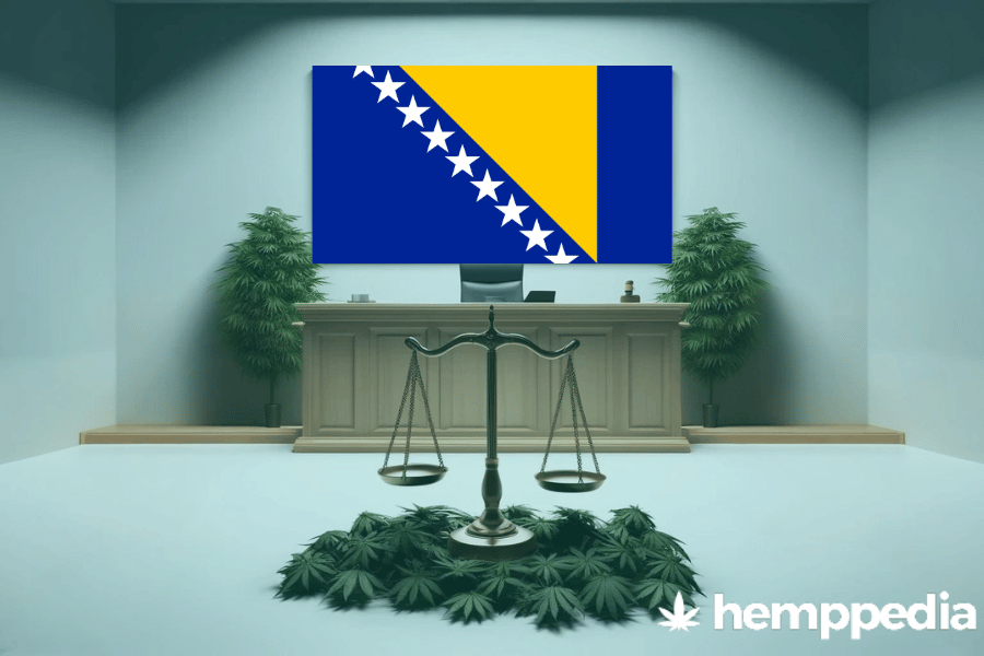 ¿Es legal el cannabis en Bosnia y Herzegovina? – Actualización 2024