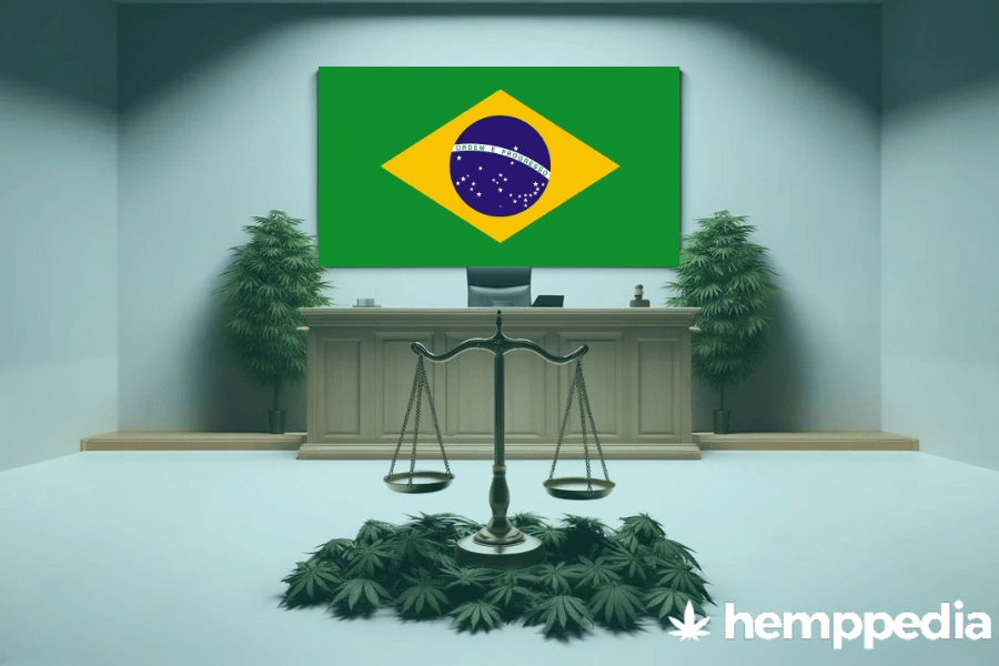 ¿Es el cannabis legal en Brasil? – Actualización 2024