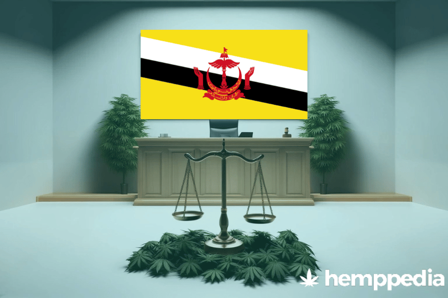 ¿Es legal el cannabis en Brunei? – Actualización 2024