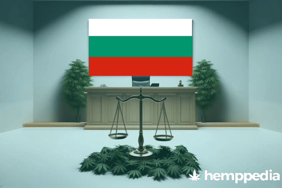 ¿Es legal el cannabis en Bulgaria? – Actualización 2024