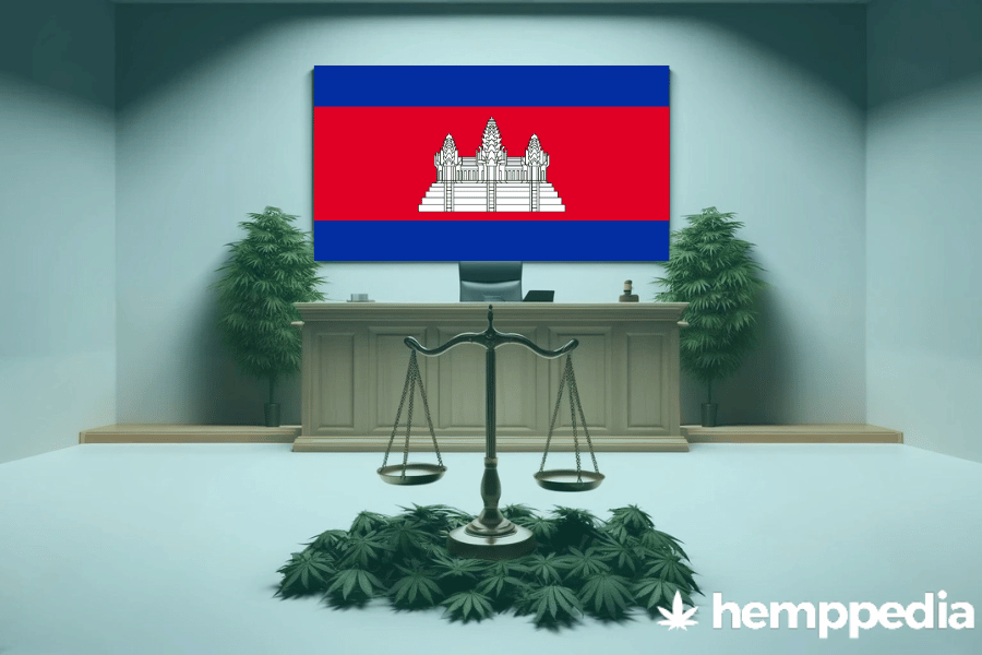 ¿Es legal el cannabis en Camboya? – Actualización 2024