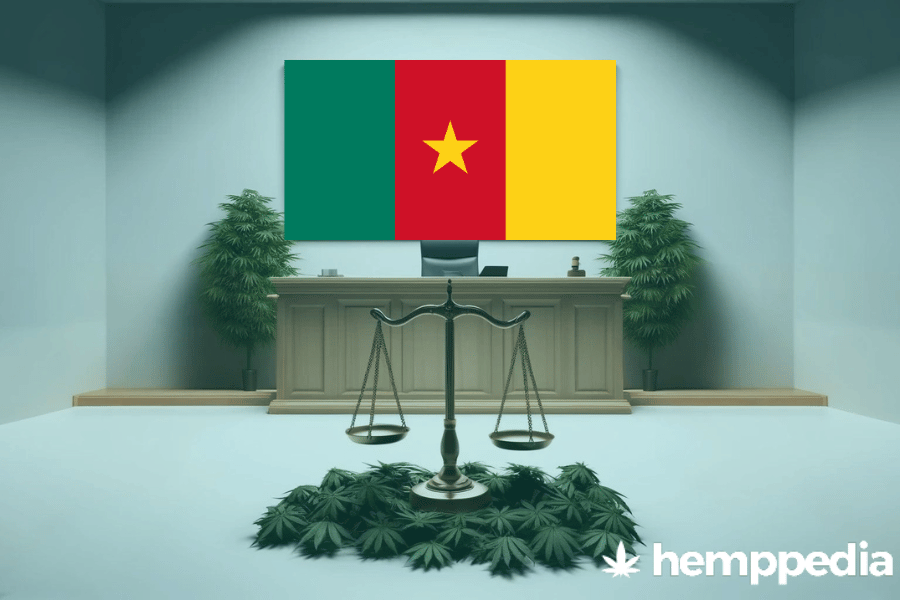 ¿Es legal el cannabis en Camerún? – Actualización 2024