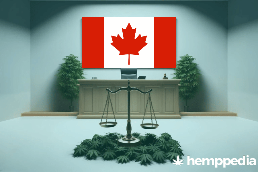 ¿Es legal el cannabis en Canadá? – Actualización 2024