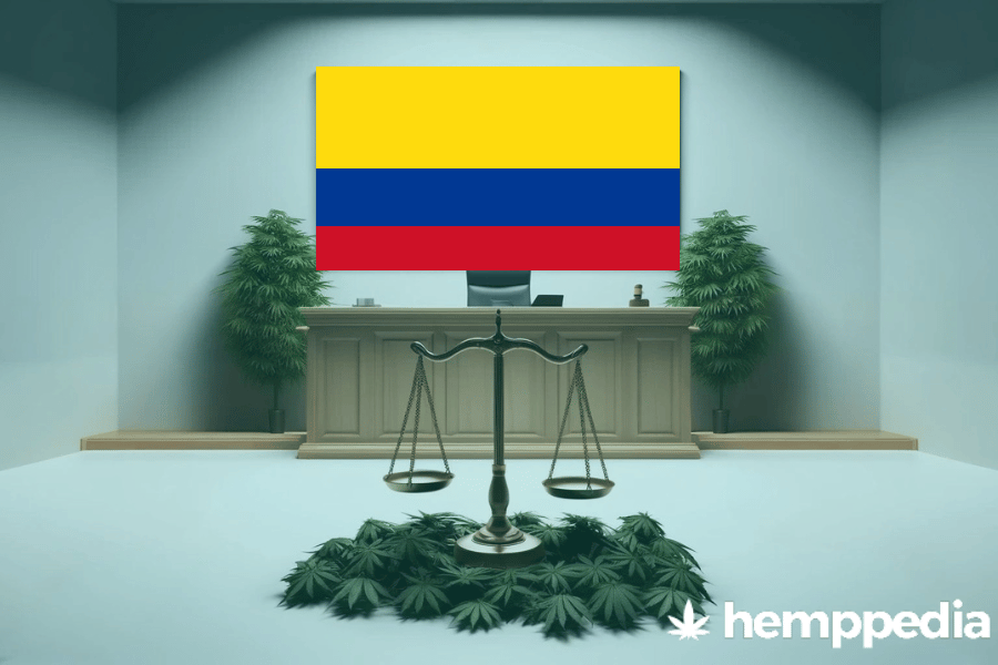 ¿Es legal el cannabis en Colombia? – Actualización 2024