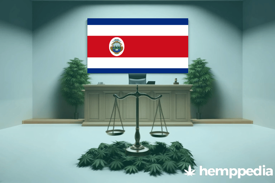 ¿Es legal el cannabis en Costa Rica? – Actualización 2024