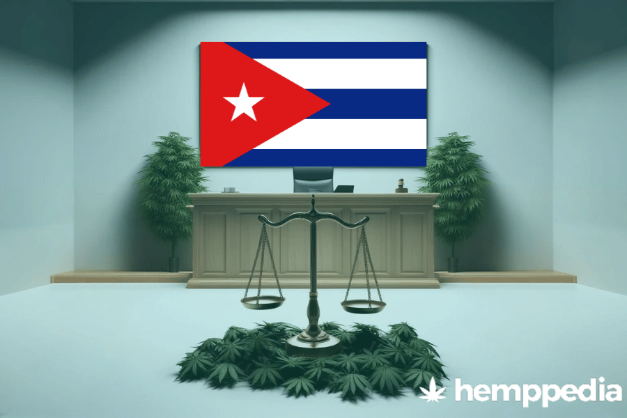 ¿Es legal el cannabis en Cuba? – Actualización 2024