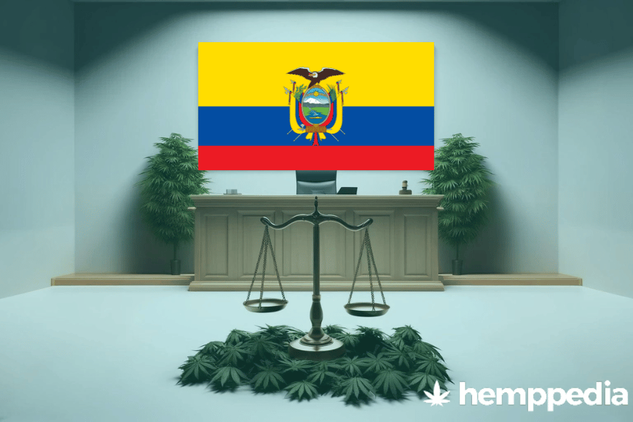 ¿Es legal el cannabis en Ecuador? – Actualización 2024