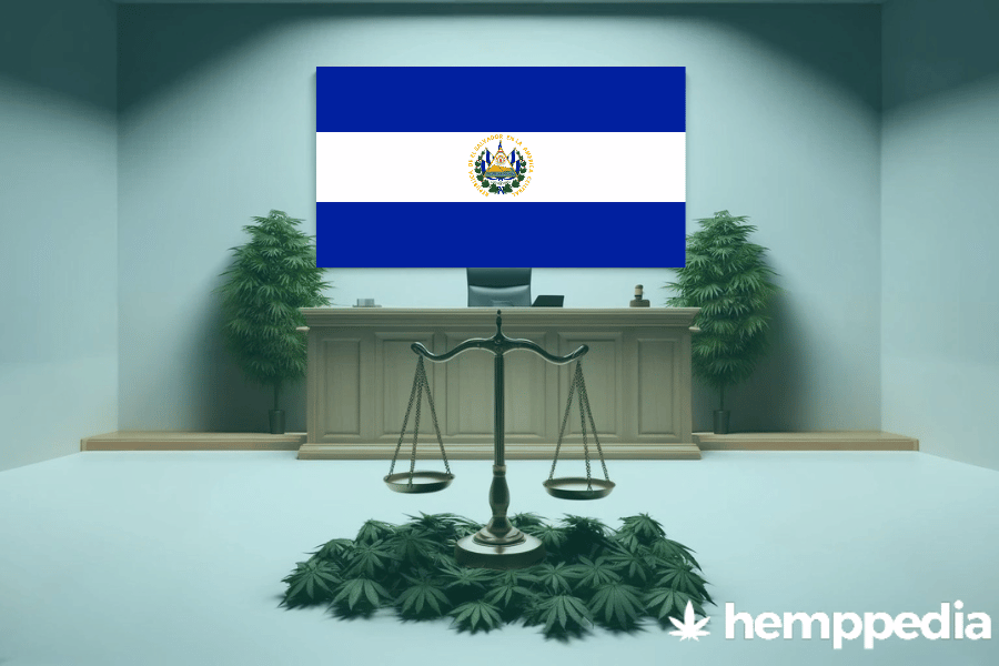 ¿Es legal el cannabis en El Salvador? – Actualización 2024