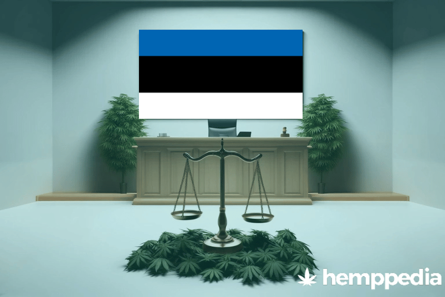 ¿Es legal el cannabis en Estonia? – Actualización 2024