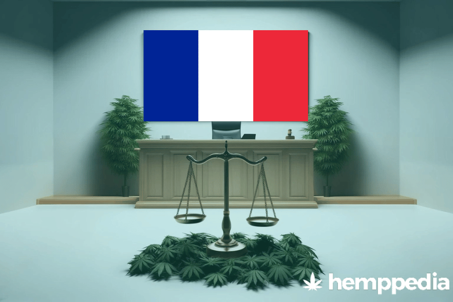 ¿Es legal el cannabis en Francia? – Actualización 2024