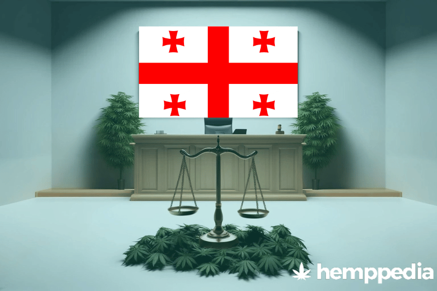 ¿Es legal el cannabis en Georgia (país)? – Actualización 2024