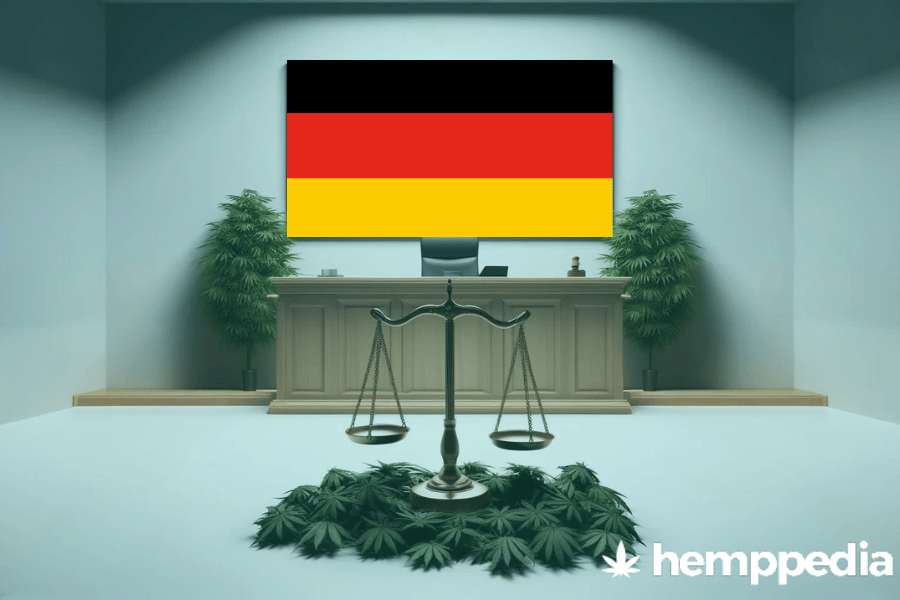 ¿Es legal el cannabis en Alemania? – Actualización 2024