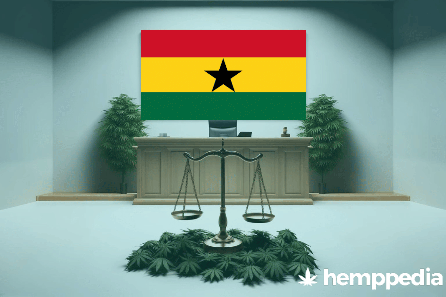 ¿Es legal el cannabis en Ghana? – Actualización 2024