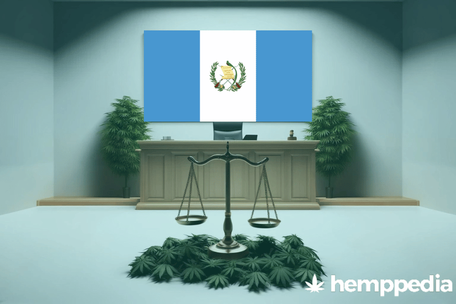 ¿Es legal el cannabis en Guatemala? – Actualización 2024