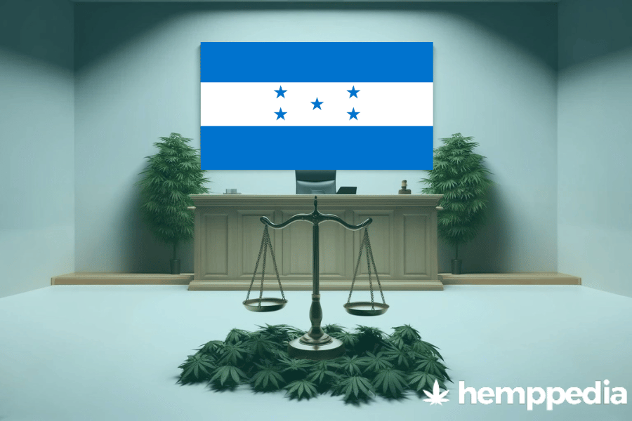 ¿Es legal el cannabis en Honduras? – Actualización 2024