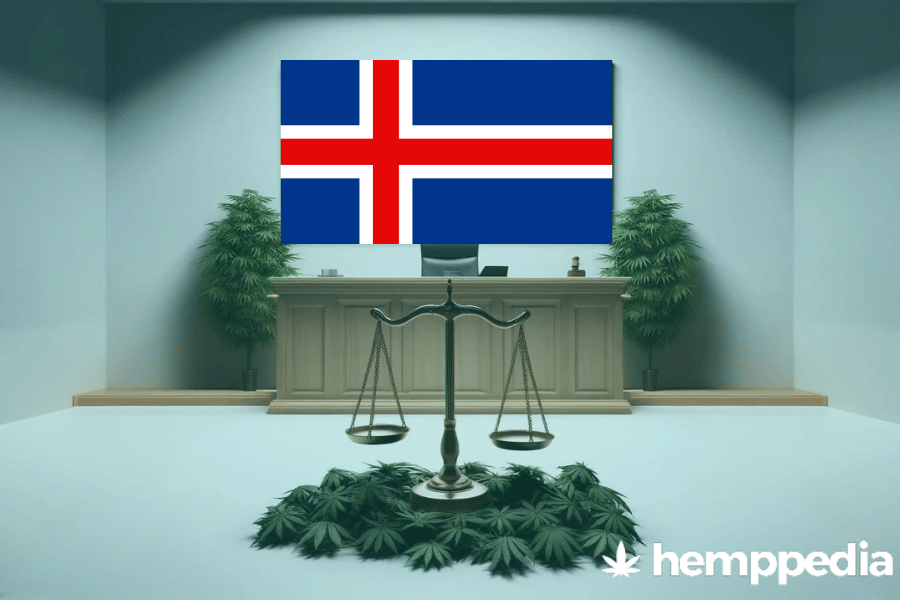 ¿Es legal el cannabis en Islandia? – Actualización 2024