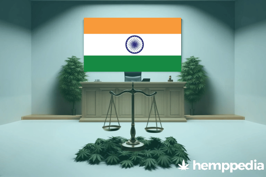 ¿Es legal el cannabis en la India? – Actualización 2024