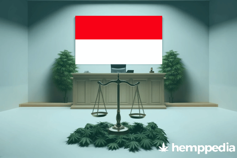 ¿Es legal el cannabis en Indonesia? – Actualización 2024