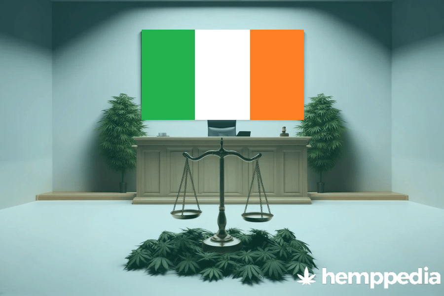 ¿Es legal el cannabis en Irlanda? – Actualización 2024