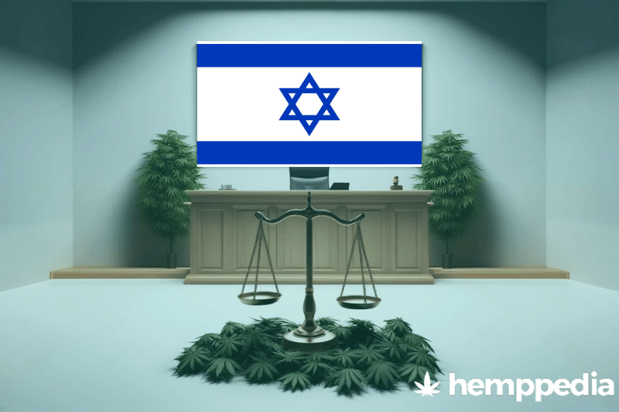 ¿Es legal el cannabis en Israel? – Actualización 2024