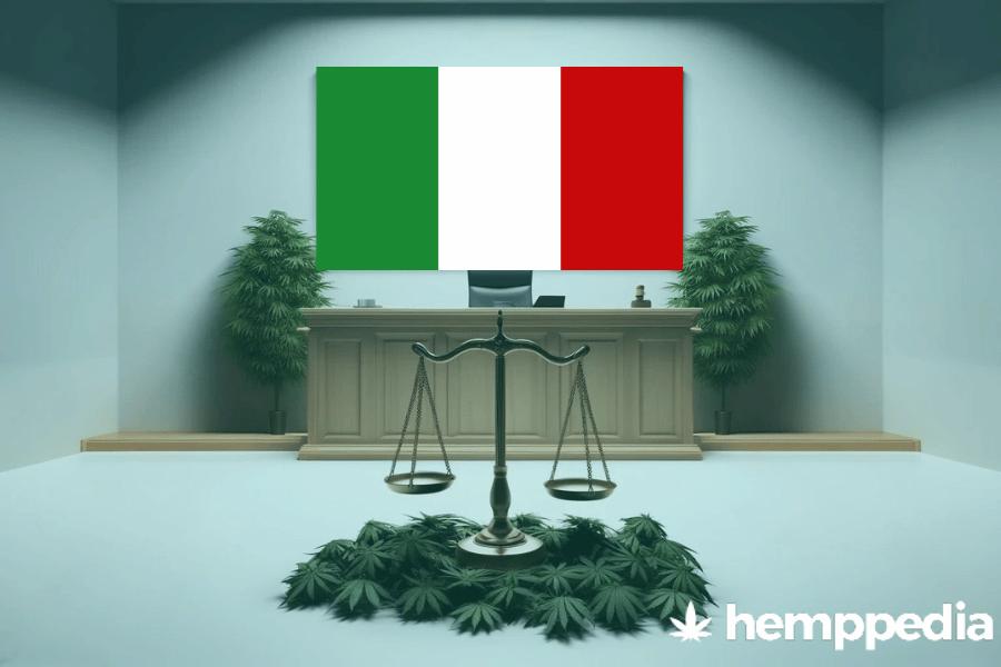 ¿Es legal el cannabis en Italia? – Actualización 2024