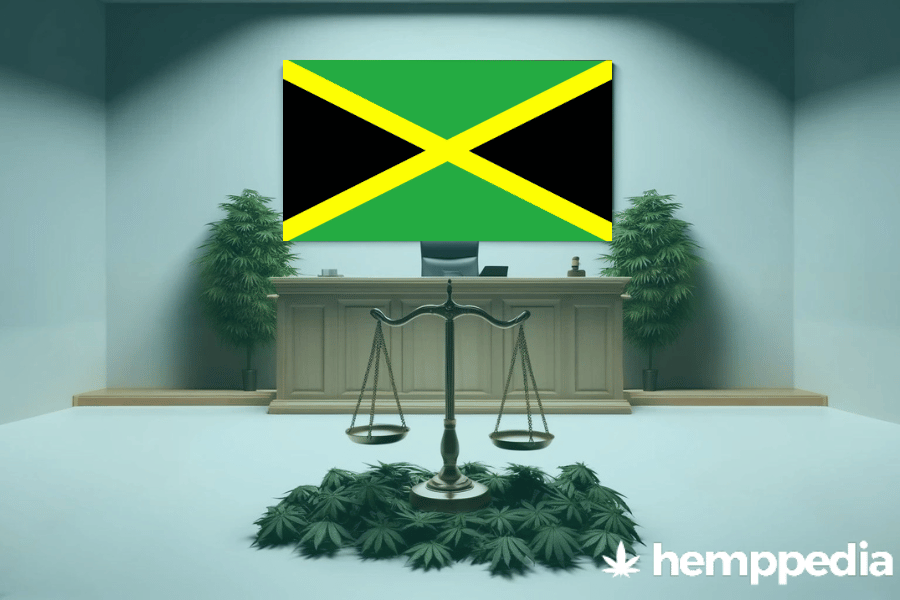 ¿Es legal el cannabis en Jamaica? – Actualización 2024