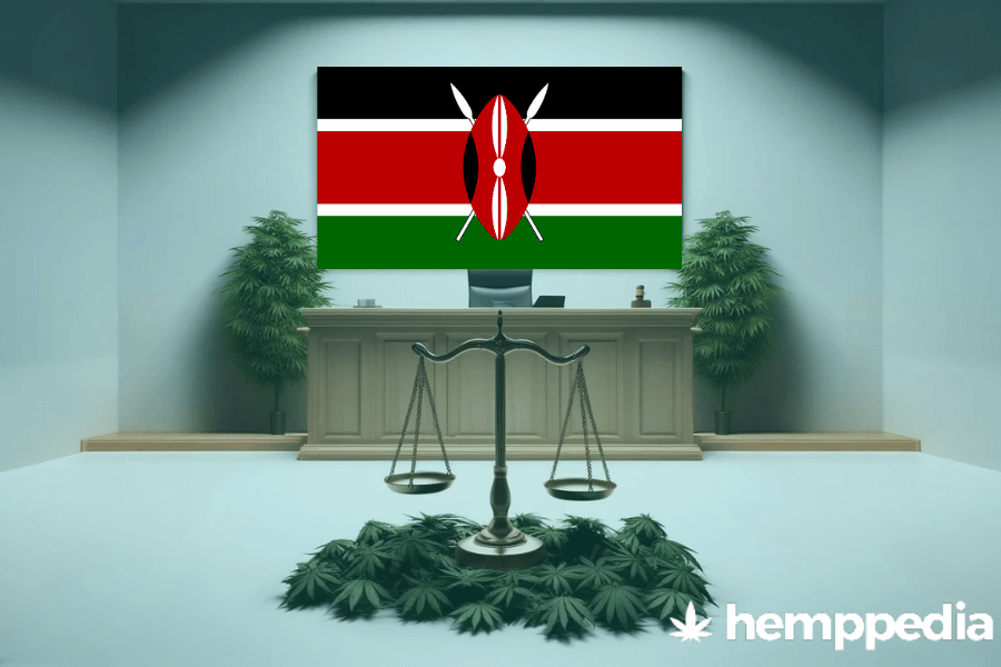 ¿Es legal el cannabis en Kenia? – Actualización 2024