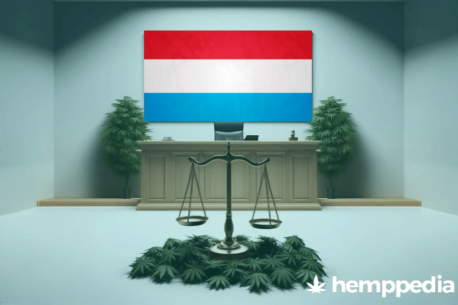 ¿Es legal el cannabis en Luxemburgo? – Actualización 2024