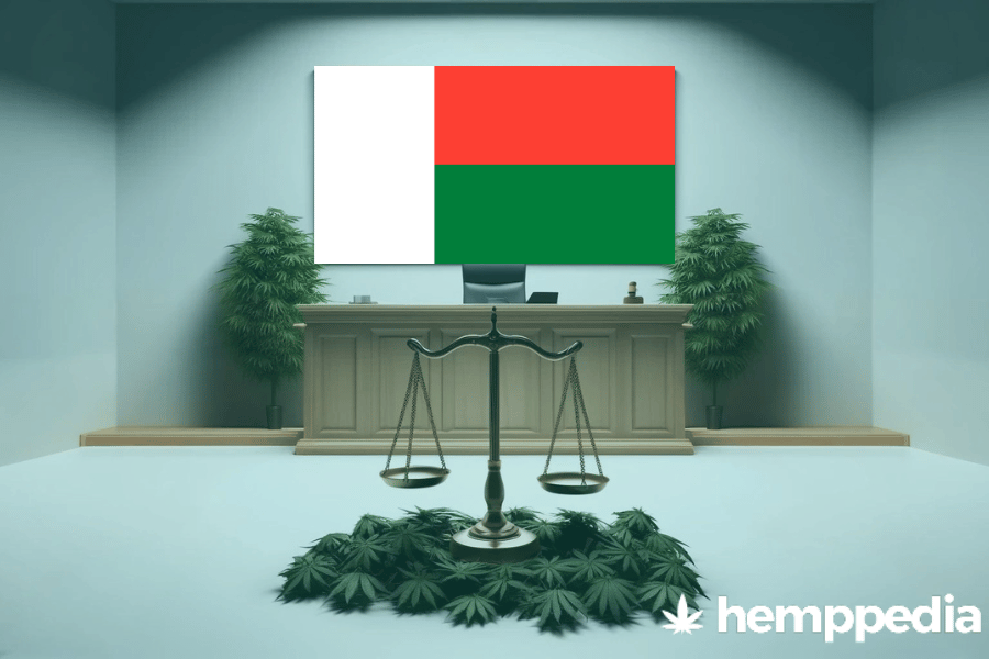 ¿Es legal el cannabis en Madagascar? – Actualización 2024