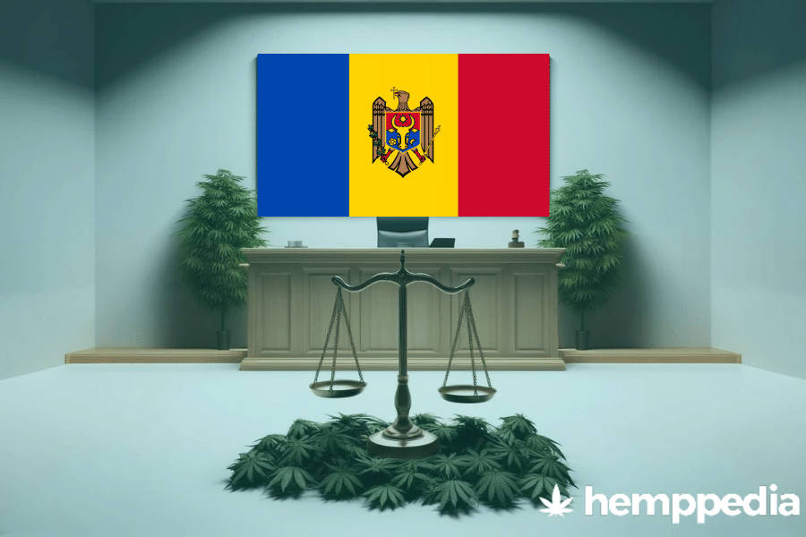 ¿Es legal el cannabis en Moldavia? – Actualización 2024