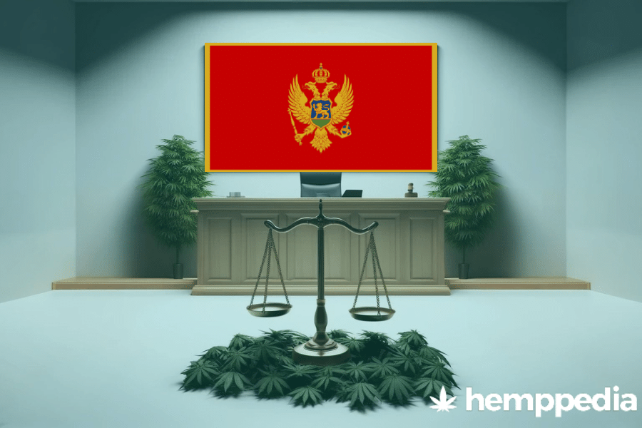 ¿Es legal el cannabis en Montenegro? – Actualización 2024