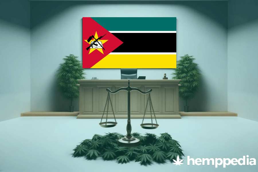 ¿Es legal el cannabis en Mozambique? – Actualización 2024