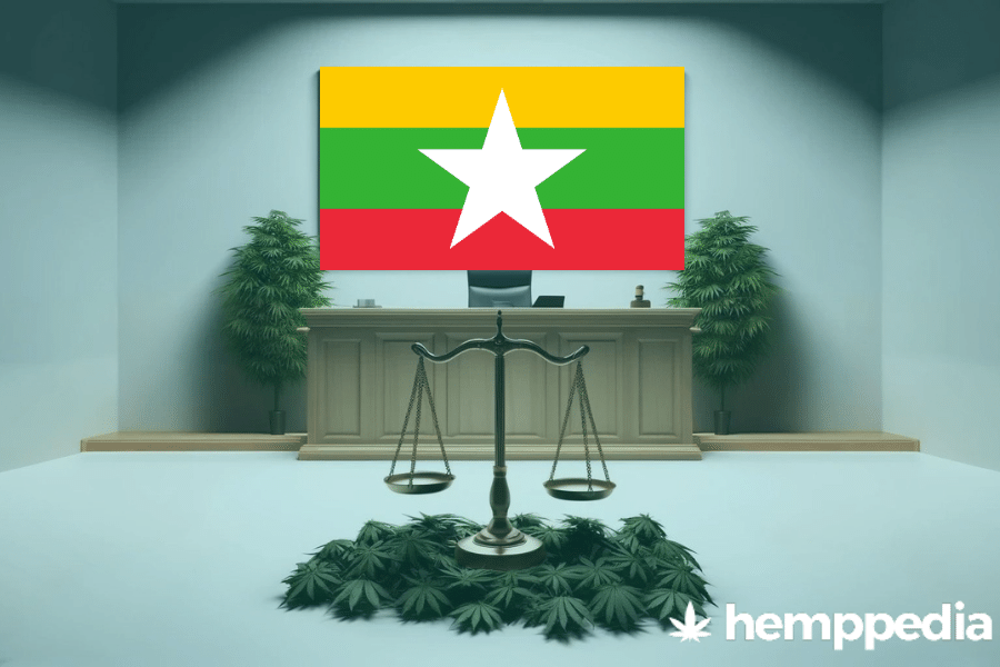 ¿Es legal el cannabis en Myanmar? – Actualización 2024