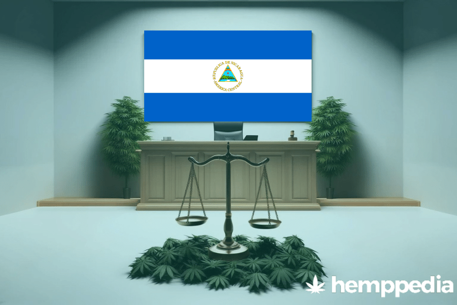 ¿Es legal el cannabis en Nicaragua? – Actualización 2024