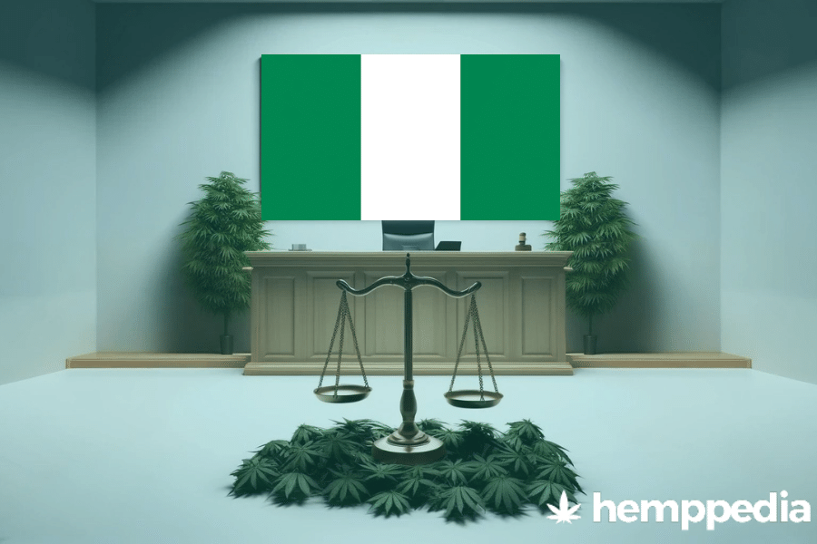 ¿Es legal el cannabis en Nigeria? – Actualización 2024