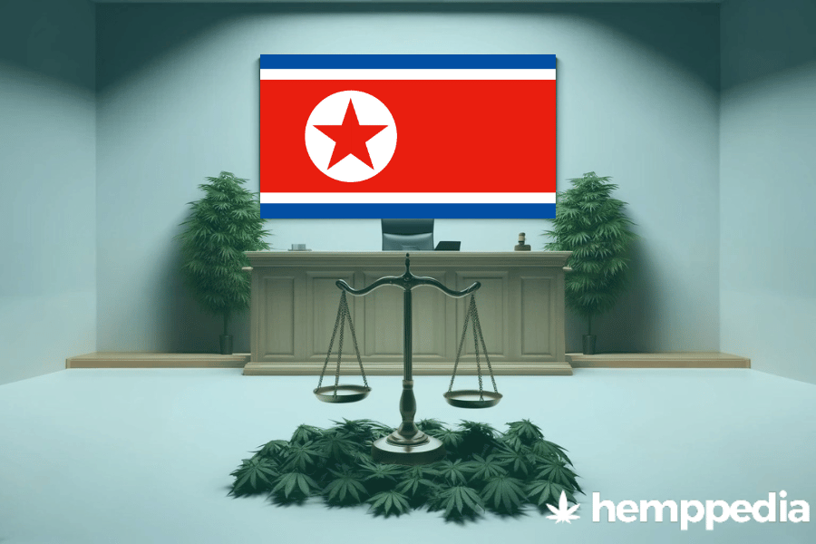 ¿Es legal el cannabis en Corea del Norte? – Actualización 2024