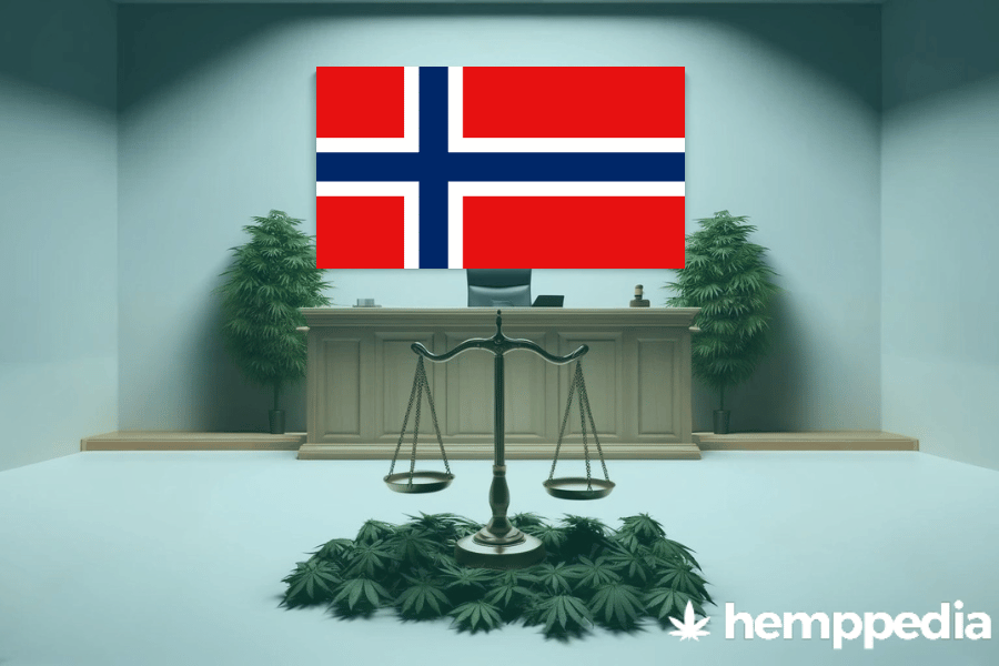 ¿Es legal el cannabis en Noruega? – Actualización 2024