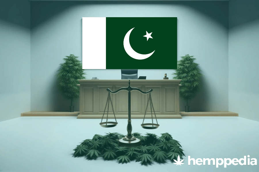 ¿Es legal el cannabis en Pakistán? – Actualización 2024