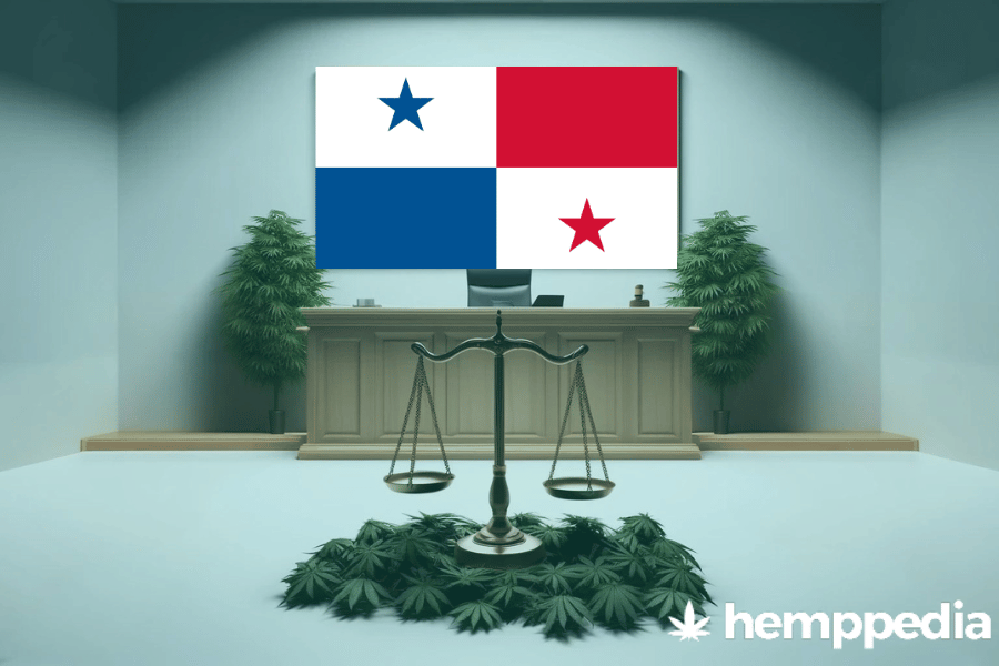 ¿Es legal el cannabis en Panamá? – Actualización 2024